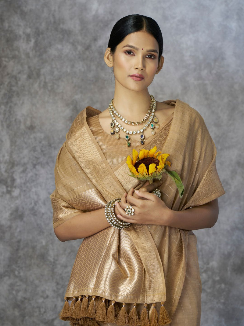 Tissue Silk Saree with Zari Border