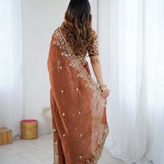 Fendy Chiffon Sequin & Embroidery on Two-Tone Saree