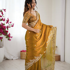 Fendy Chiffon Sequin & Embroidery on Two-Tone Saree