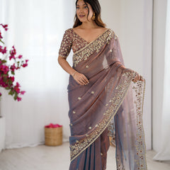 Fendy Chiffon Sequin & Embroidery on Two-Tone Saree