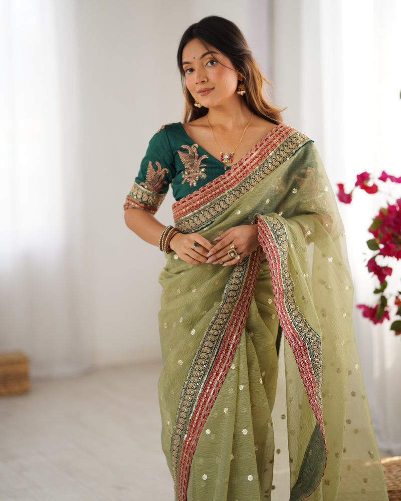 Organza Embroidered Saree