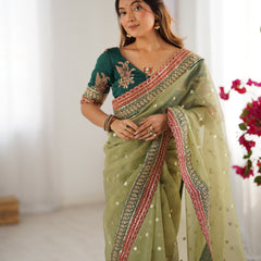 Organza Embroidered Saree