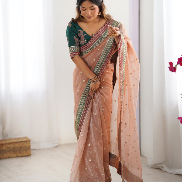 Organza Embroidered Saree