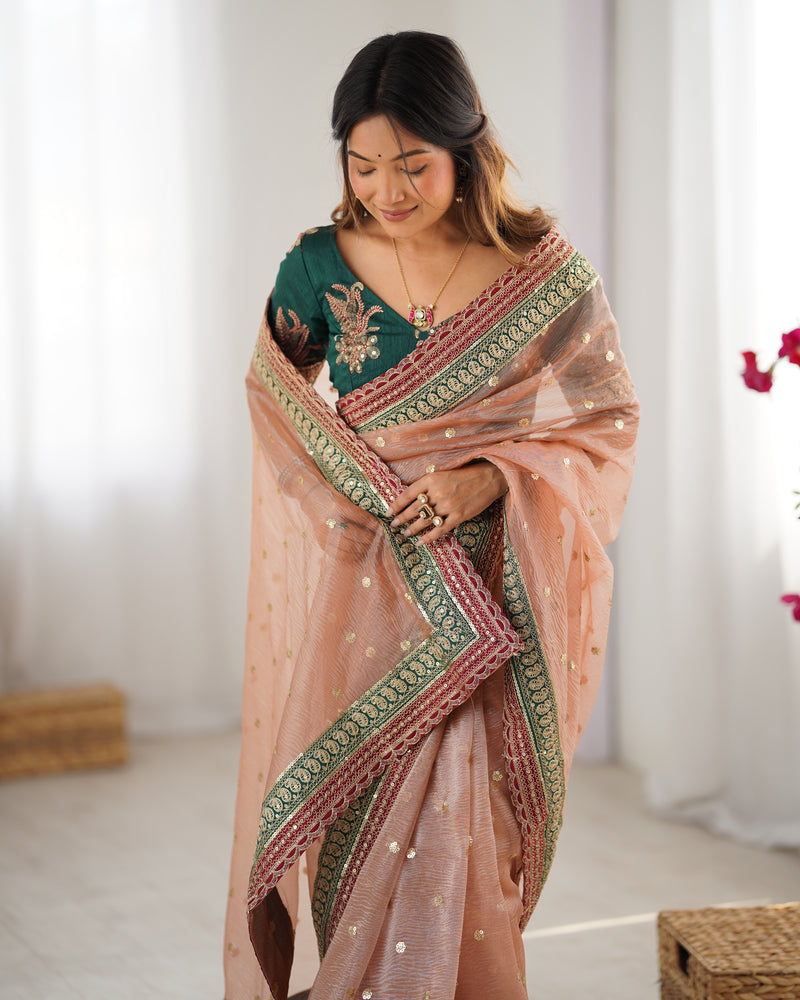 Organza Embroidered Saree