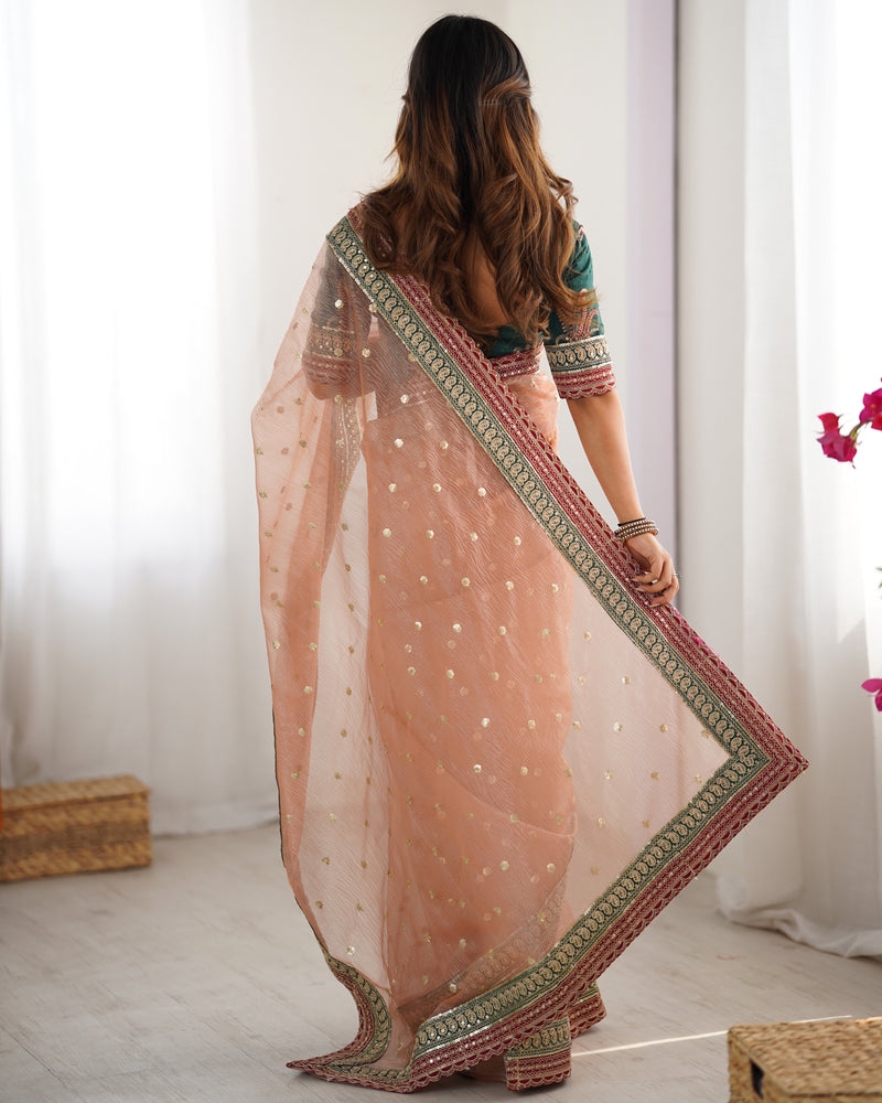 Organza Embroidered Saree