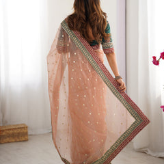 Organza Embroidered Saree