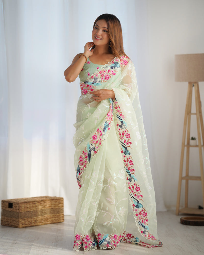 The Organza Starlight Saree