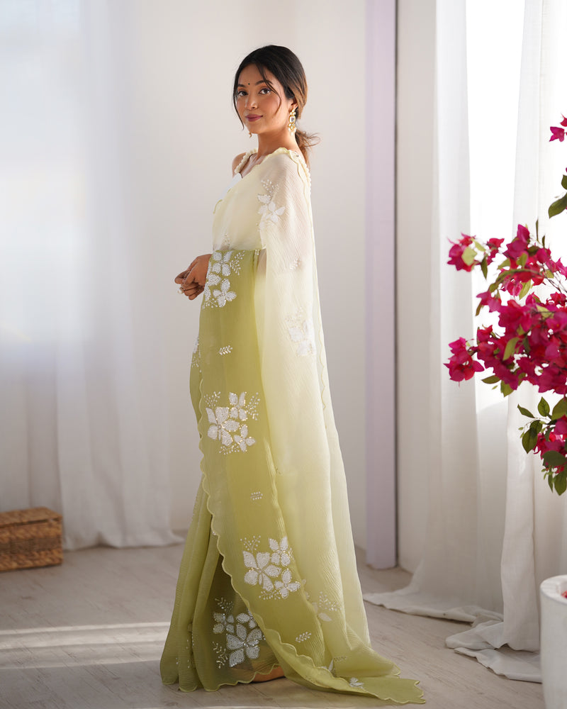 Padded Texture & Sequins Sparkle Saree