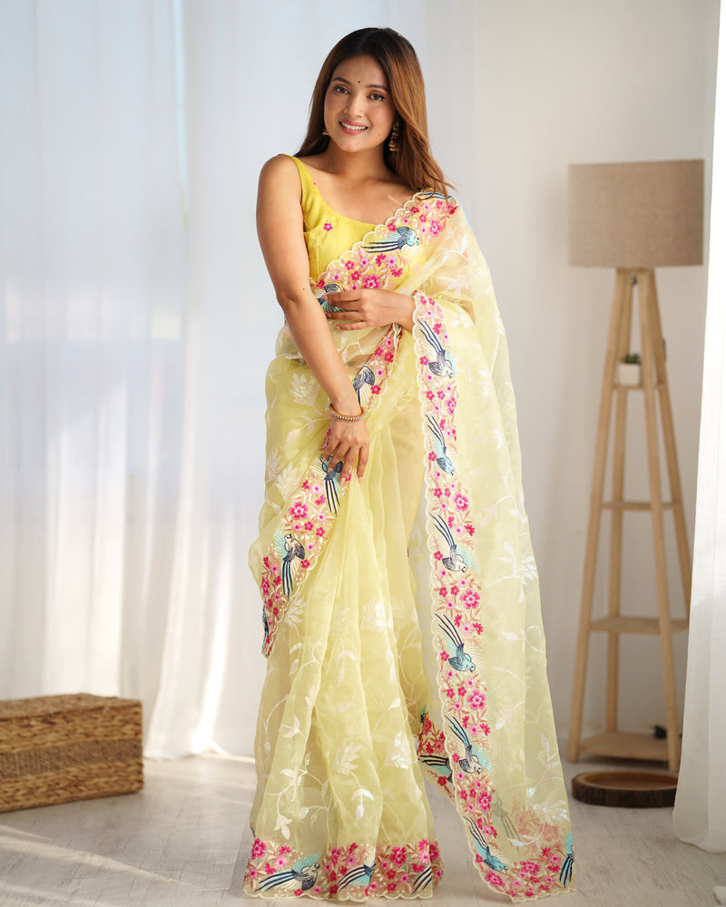 The Organza Starlight Saree