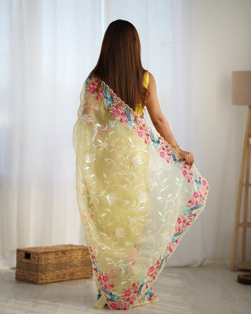 The Organza Starlight Saree
