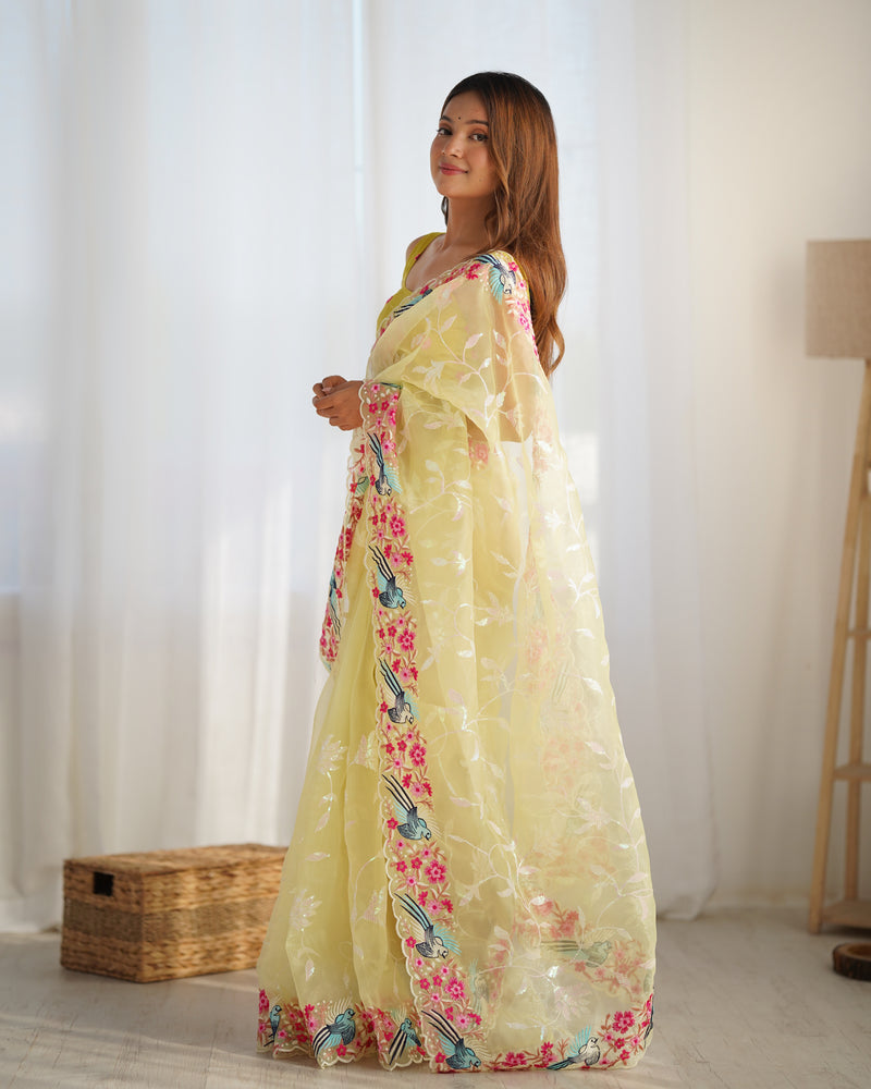 The Organza Starlight Saree