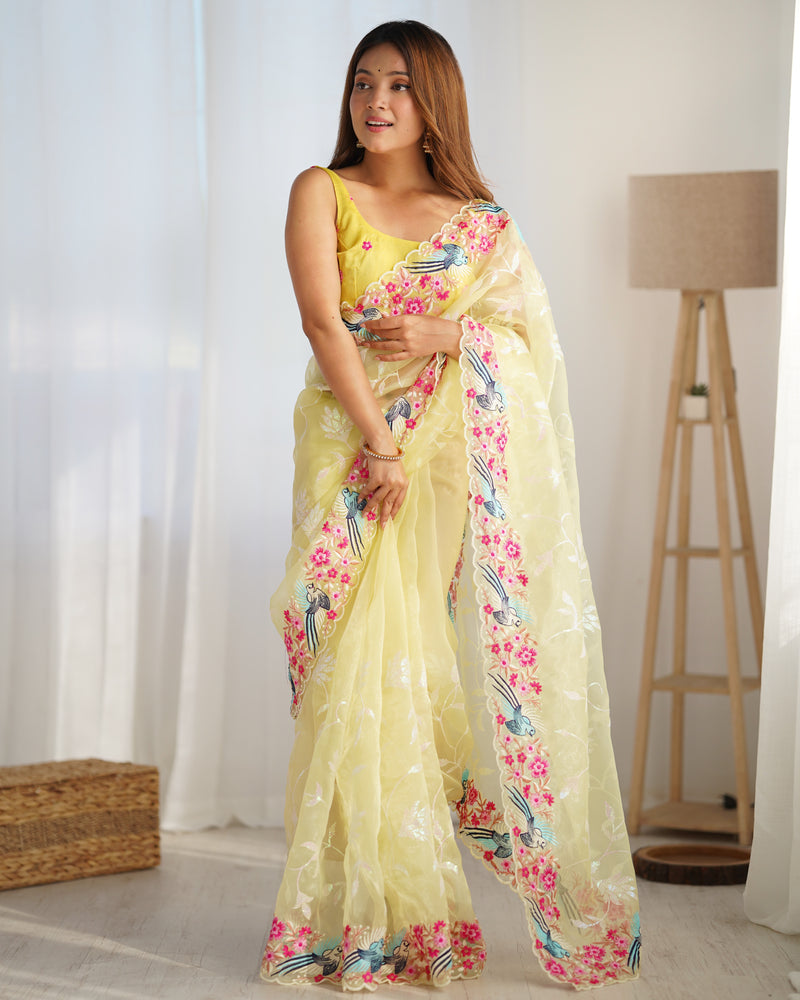 The Organza Starlight Saree