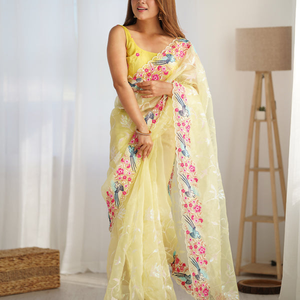 The Organza Starlight Saree